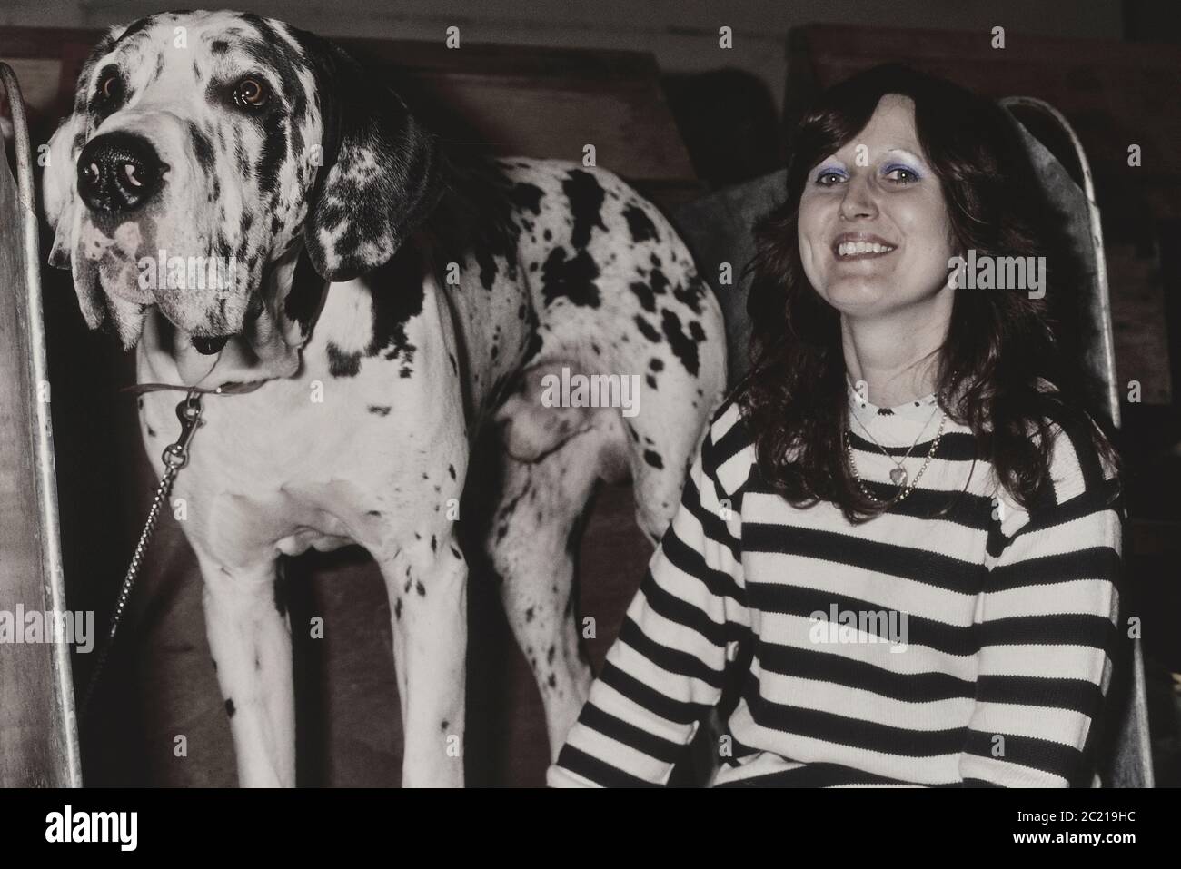 Super Dane avec propriétaire, spectacle de chiens Crufts. Earls court. Londres. Vers 1989 Banque D'Images