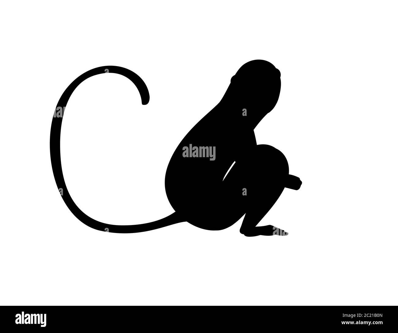 Silhouette noire mignon singe vervet dessin animé animal dessin vectoriel plat illustration isolée sur fond blanc Illustration de Vecteur