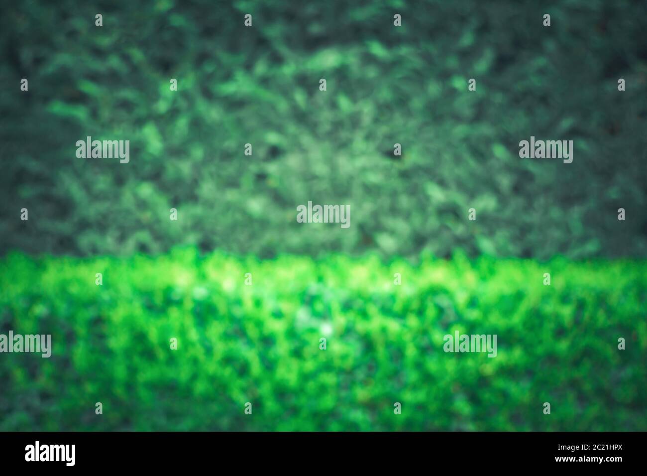 Vue avant d'une haie verte floue. Paroi naturelle de plantes défocused. Arrière-plan texturé vert abstrait avec espace de copie. Banque D'Images