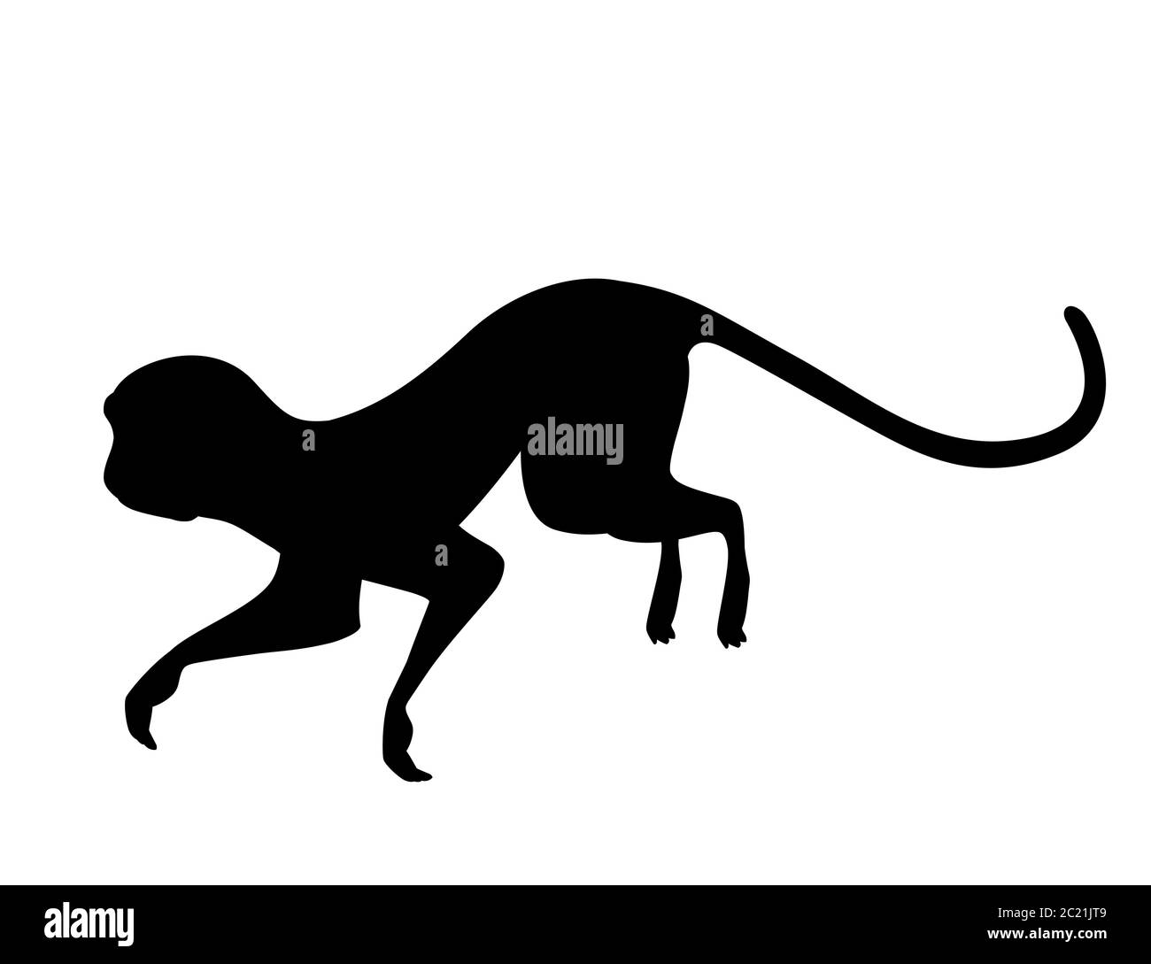 Silhouette noire mignon singe vervet dessin animé animal dessin vectoriel plat illustration isolée sur fond blanc Illustration de Vecteur