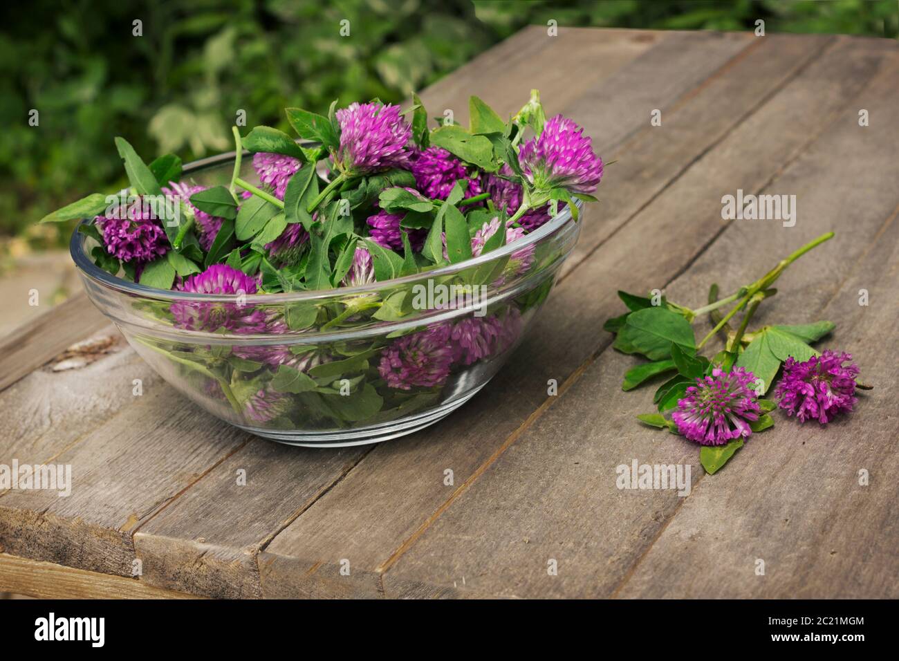Bol en verre rempli de fleurs de trèfle sur une table de jardin ancienne Banque D'Images