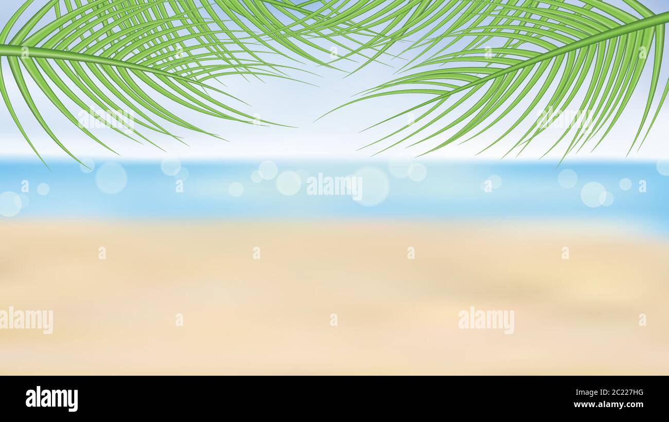 Plage d'été et palmiers sur fond de mer tropicale, illustration vectorielle Illustration de Vecteur