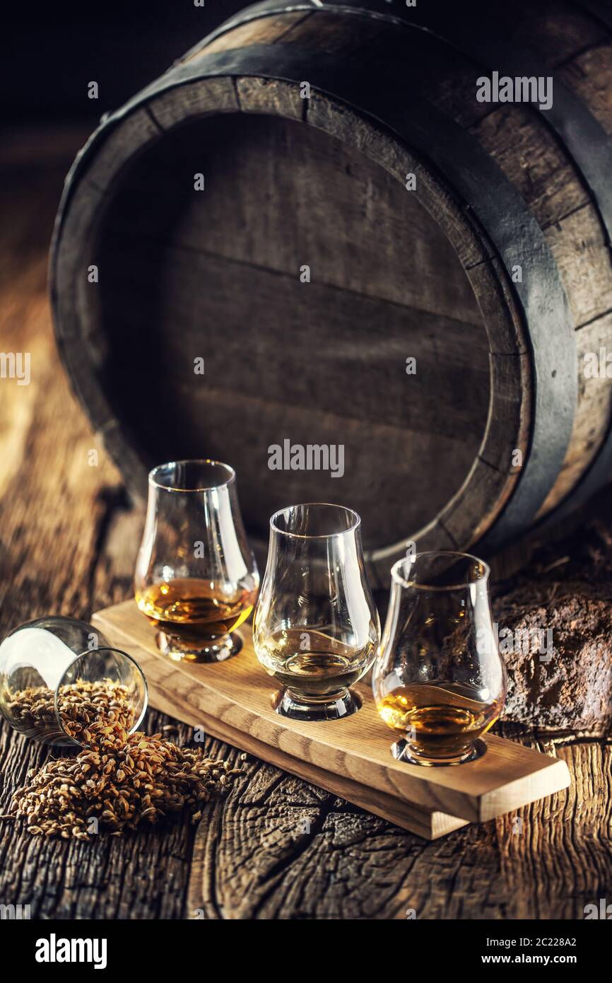 Des coupes de whisky de dégustation Glencairn avec baril de bois, tourbe et orge à côté Banque D'Images