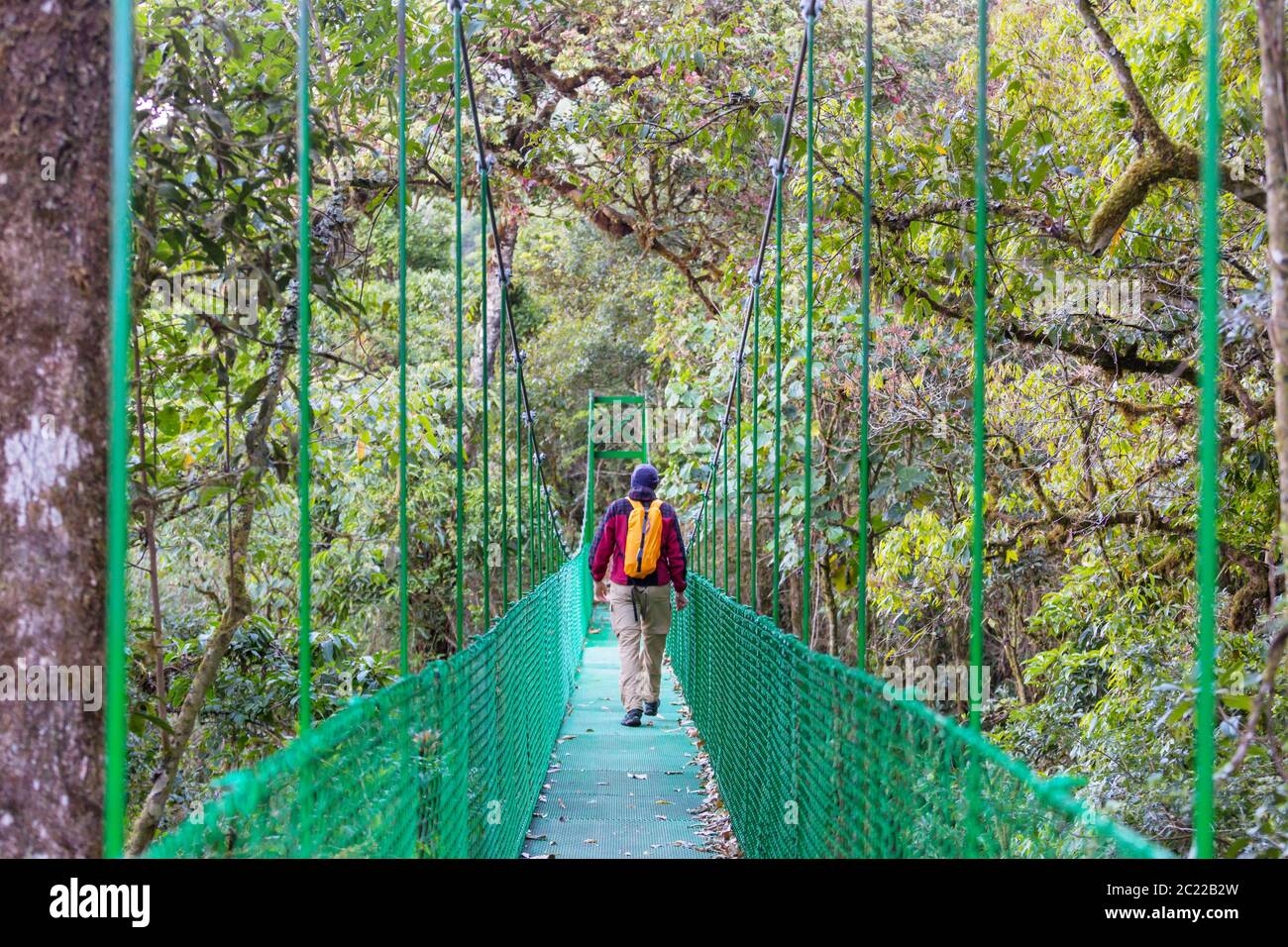 Remise en vert pont jungle, Costa Rica, Amérique Centrale Banque D'Images