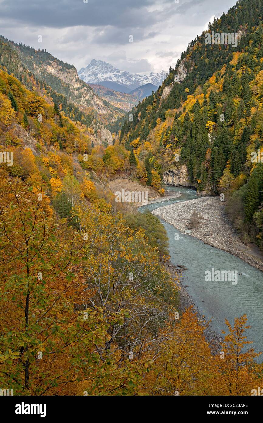 Couleurs d'automne dans les montagnes du Caucase en Géorgie, dans le Caucase Banque D'Images