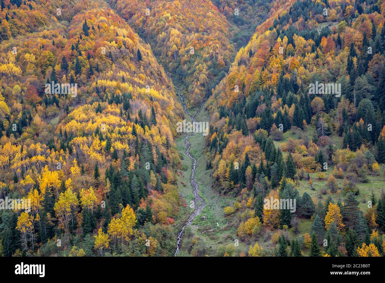Couleurs d'automne dans les montagnes du Caucase en Géorgie, dans le Caucase Banque D'Images