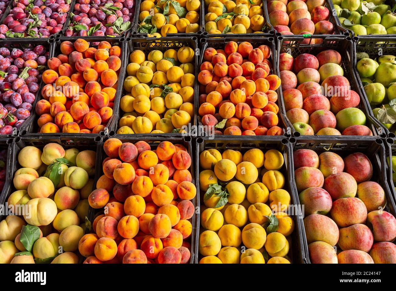 Variété de fruits sur le marché Banque D'Images