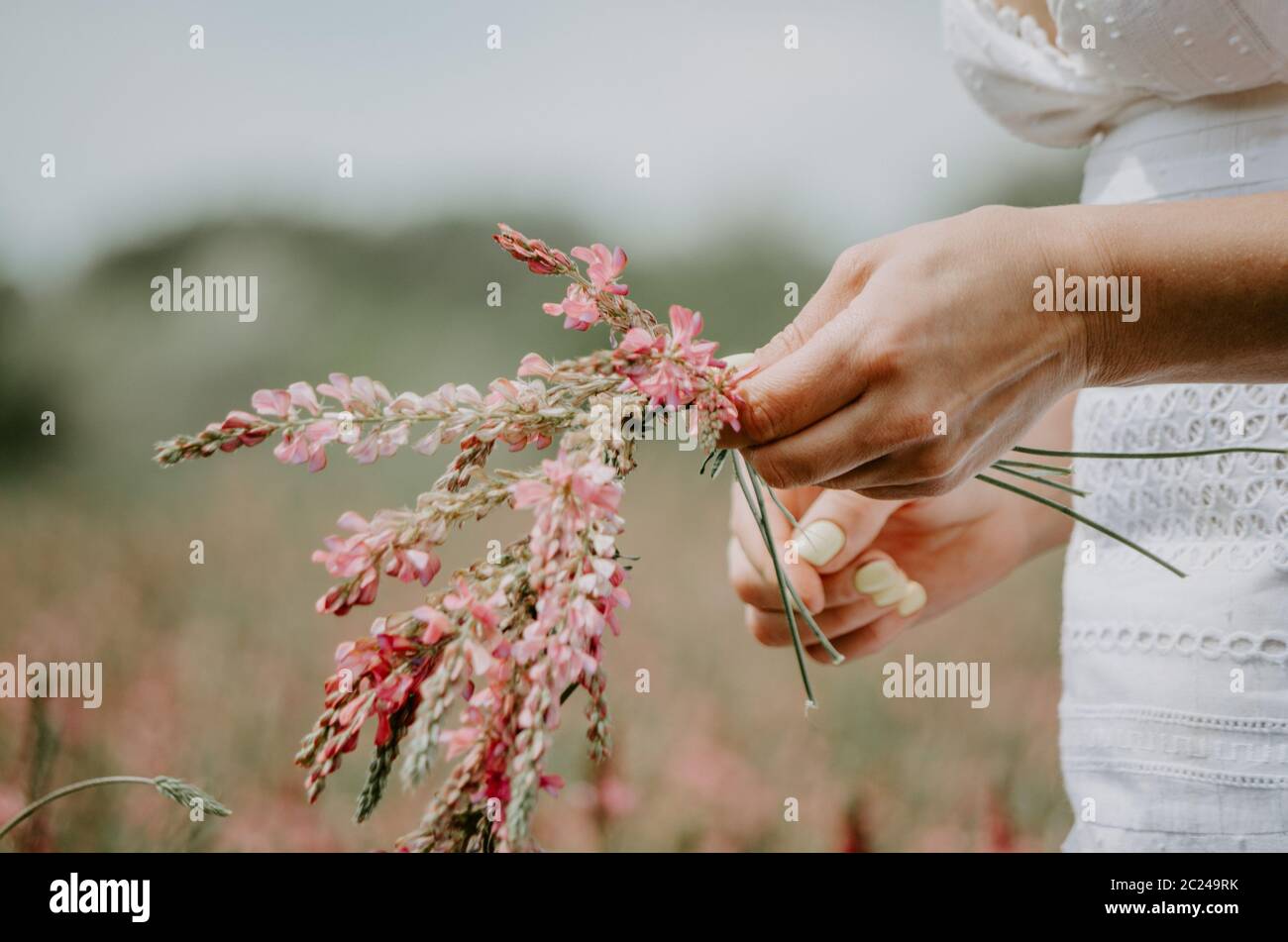 Gros plan sur les mains d'une femme qui tressent des fleurs sauvages dans une couronne de fleurs Banque D'Images