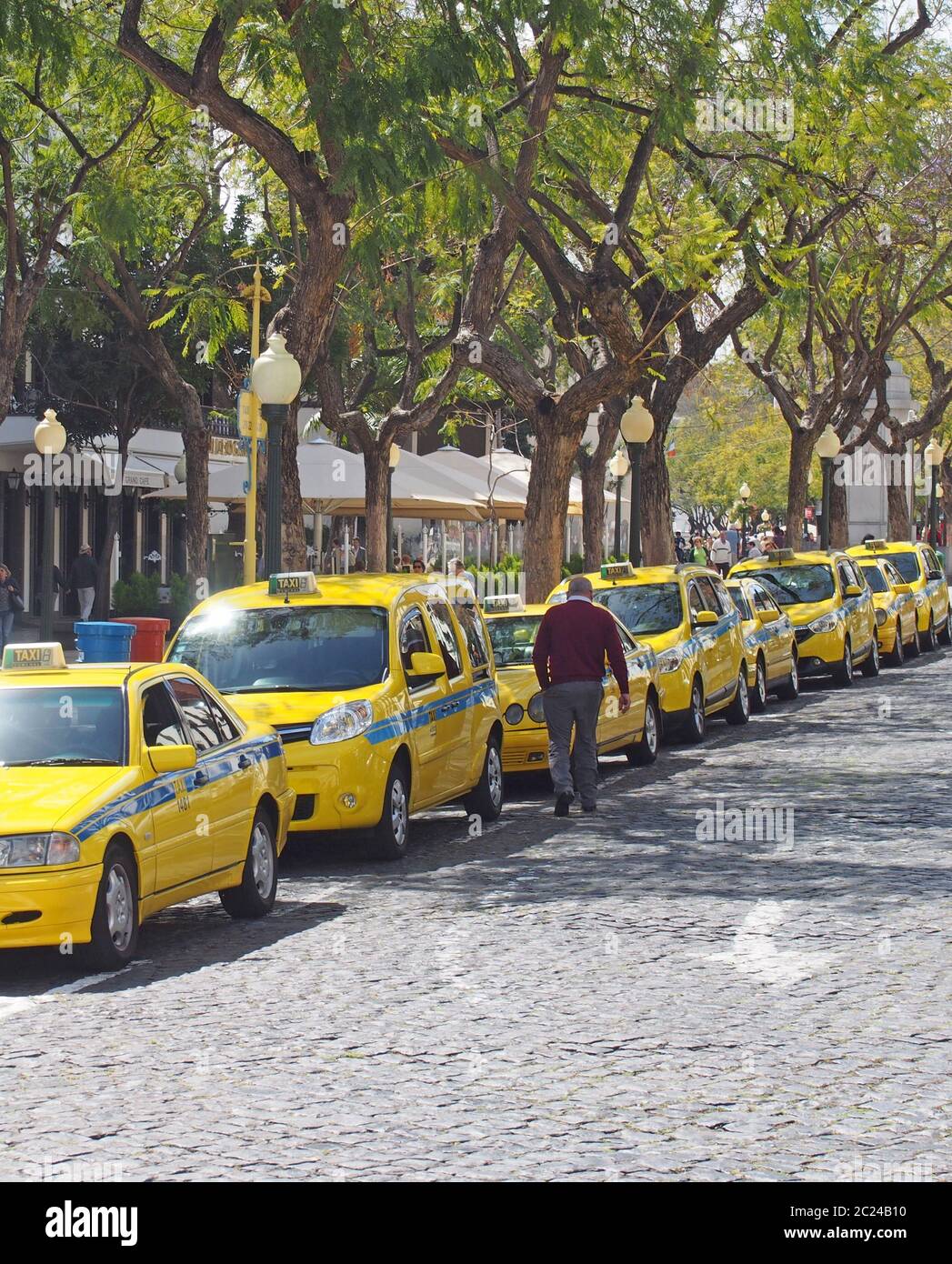 une ligne de taxis jaunes stationnés dans le centre-ville de funchal à madère Banque D'Images