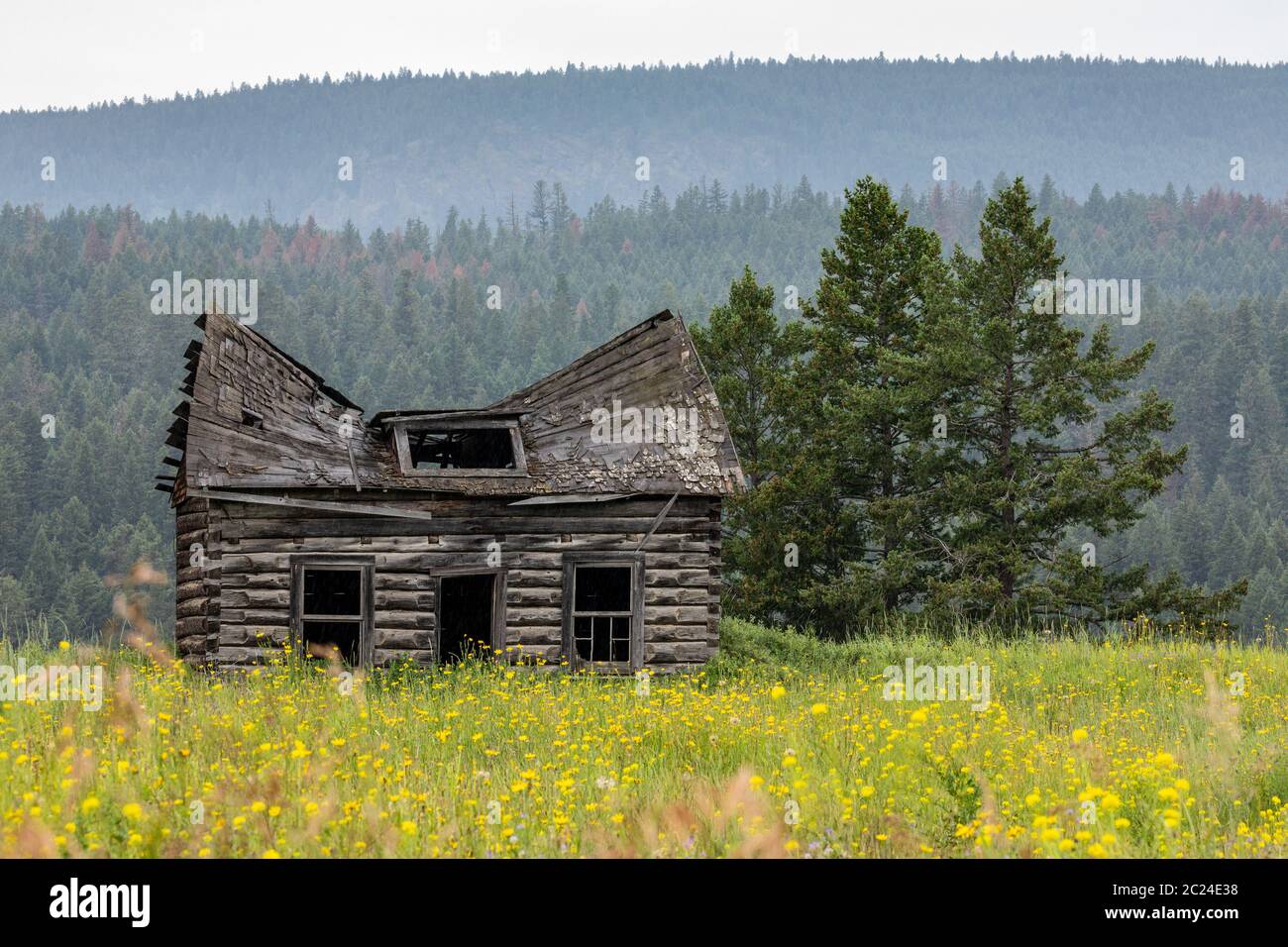 Cottage abandonné dans les wildernes du Canada Banque D'Images