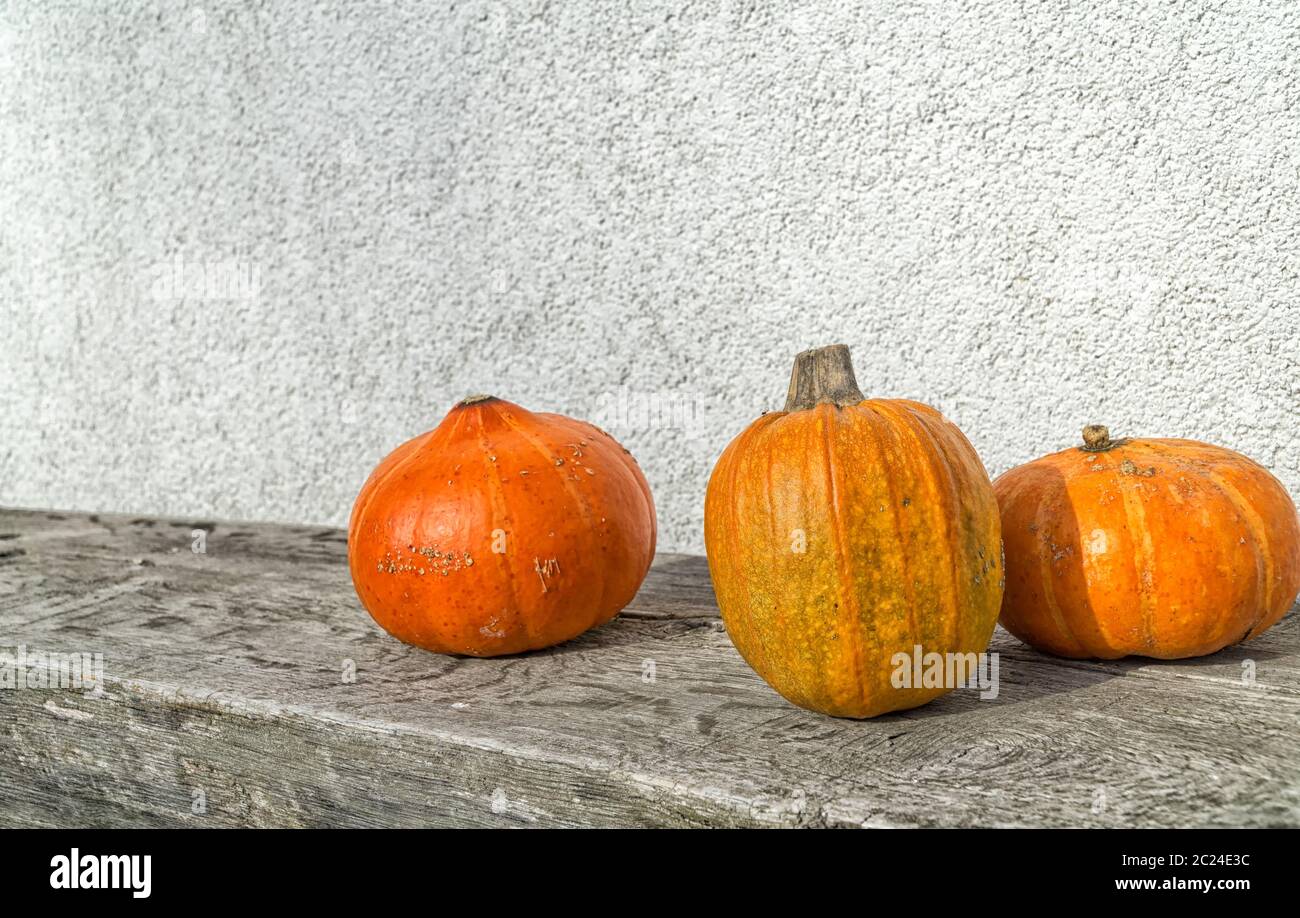 Citrouilles d'automne orange sur une ancienne table en bois contre un mur blanc. Aliments biologiques et aliments sains. Thanksgiving et Halloween concept. Banque D'Images