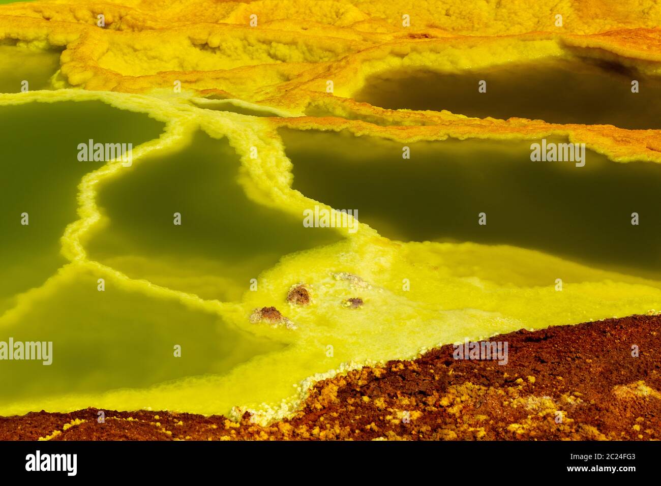 Beaux petits lacs de soufre et de l'Ethiopie. Dallol La dépression Danakil est le meilleur endroit sur Terre en termes de température moyenne toute l'année. C'est SLA Banque D'Images