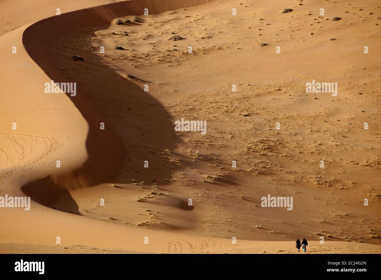 Les travailleurs d'une installation pétrolière en cours d'élaboration dans le désert du Sahara, en Afrique du Nord, marchent vers la base d'une dune élevée en fin d'après-midi. Banque D'Images