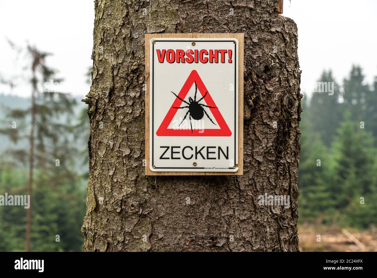 Panneau d'avertissement pour les tiques, dans la forêt d'Arnsberg, près de Hirschberg, Sauerland, NRW, Allemagne Banque D'Images
