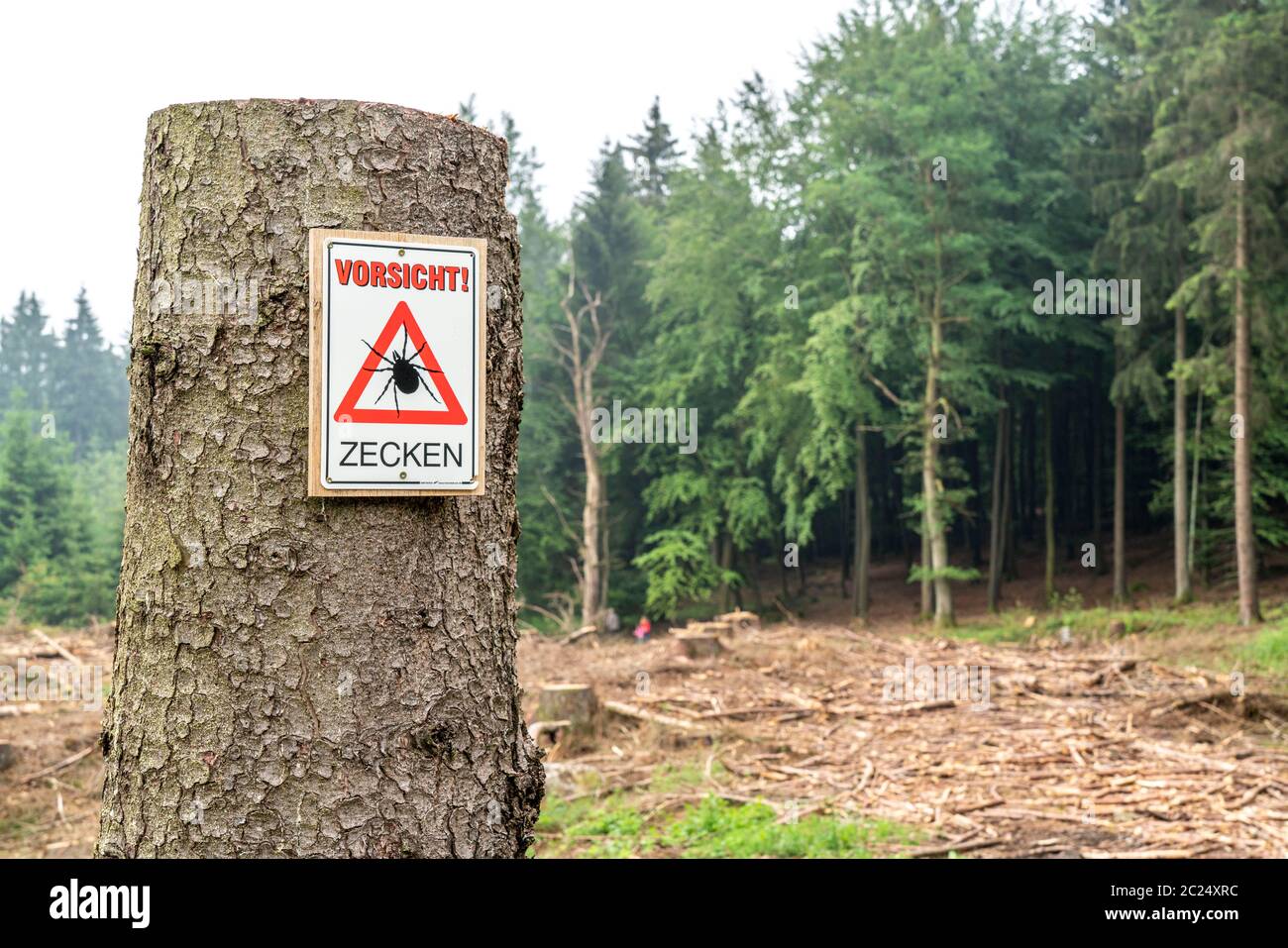Panneau d'avertissement pour les tiques, dans la forêt d'Arnsberg, près de Hirschberg, Sauerland, NRW, Allemagne Banque D'Images
