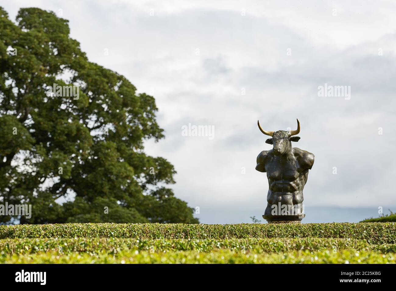 Labyrinthe de haies Holly dans le jardin clos du château de Cawdor avec sculpture de bronze minotaure. Banque D'Images