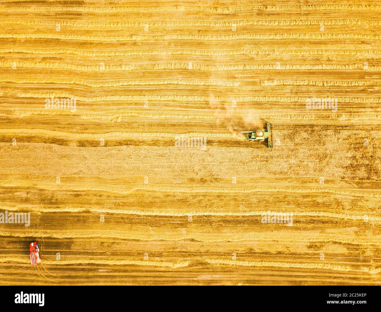 Hacheuse travaillant dans le secteur de la machine . Moissonneuse-batteuse, récolte de la machine de l'agriculture champ de blé mûr d'or. L'agriculture. Vue de dessus de l'antenne Banque D'Images