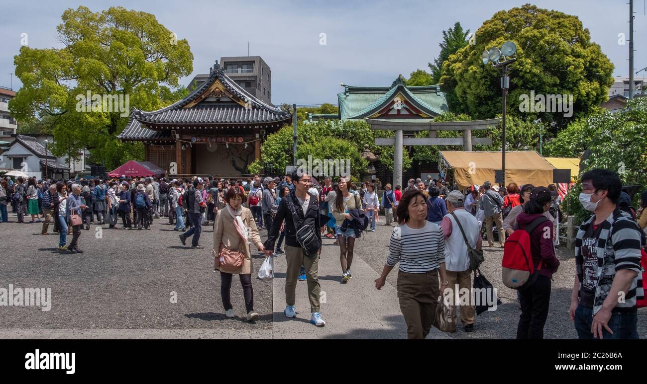 Touristes et visiteurs au sanctuaire Kameido Tenjin, Tokyo, Japon Banque D'Images