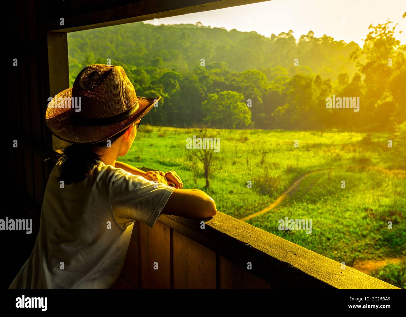 Young Asian woman porter le chapeau s'asseoir et regarder la belle vue de la forêt et de la faune au tour d'observation en soirée avec Miko Banque D'Images