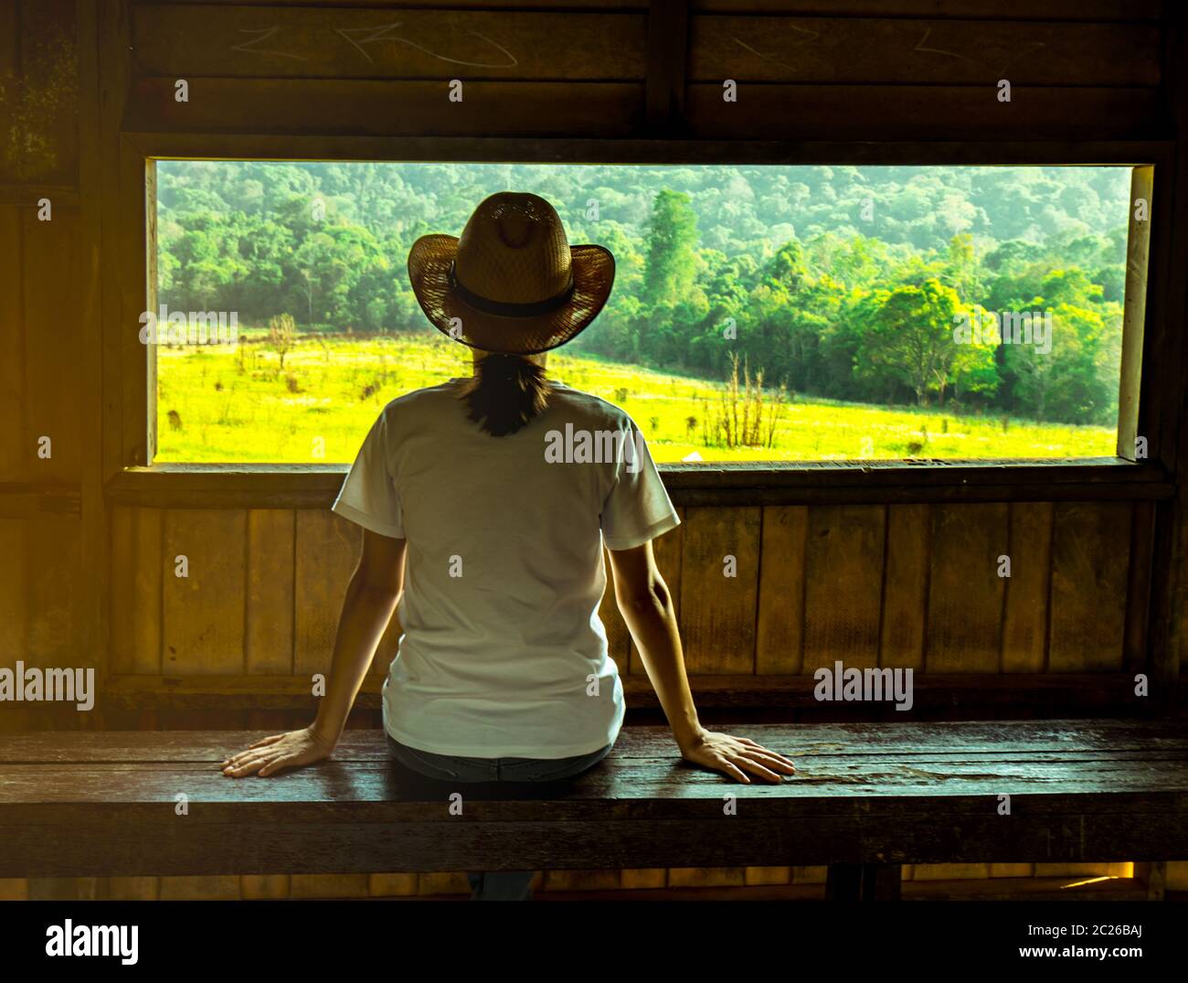 Young Asian woman porter le chapeau s'asseoir sur le banc en bois et regarder très belle vue sur la forêt et à l'observation de la faune dans la tour ev Banque D'Images