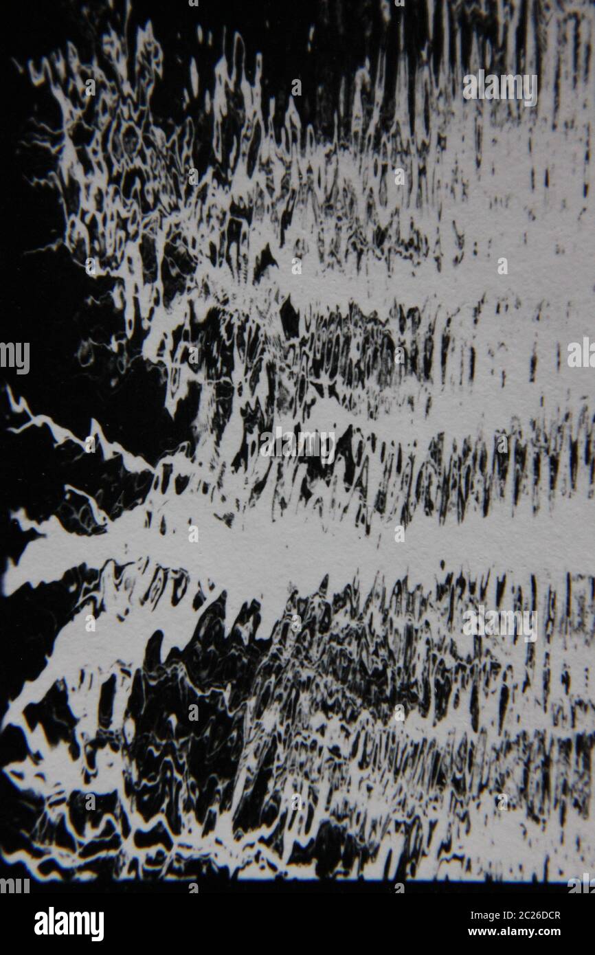 Fin 70s vintage photographie extrême noir et blanc d'un bosquet d'arbres sauvages reflétant dans les eaux mortes. Banque D'Images