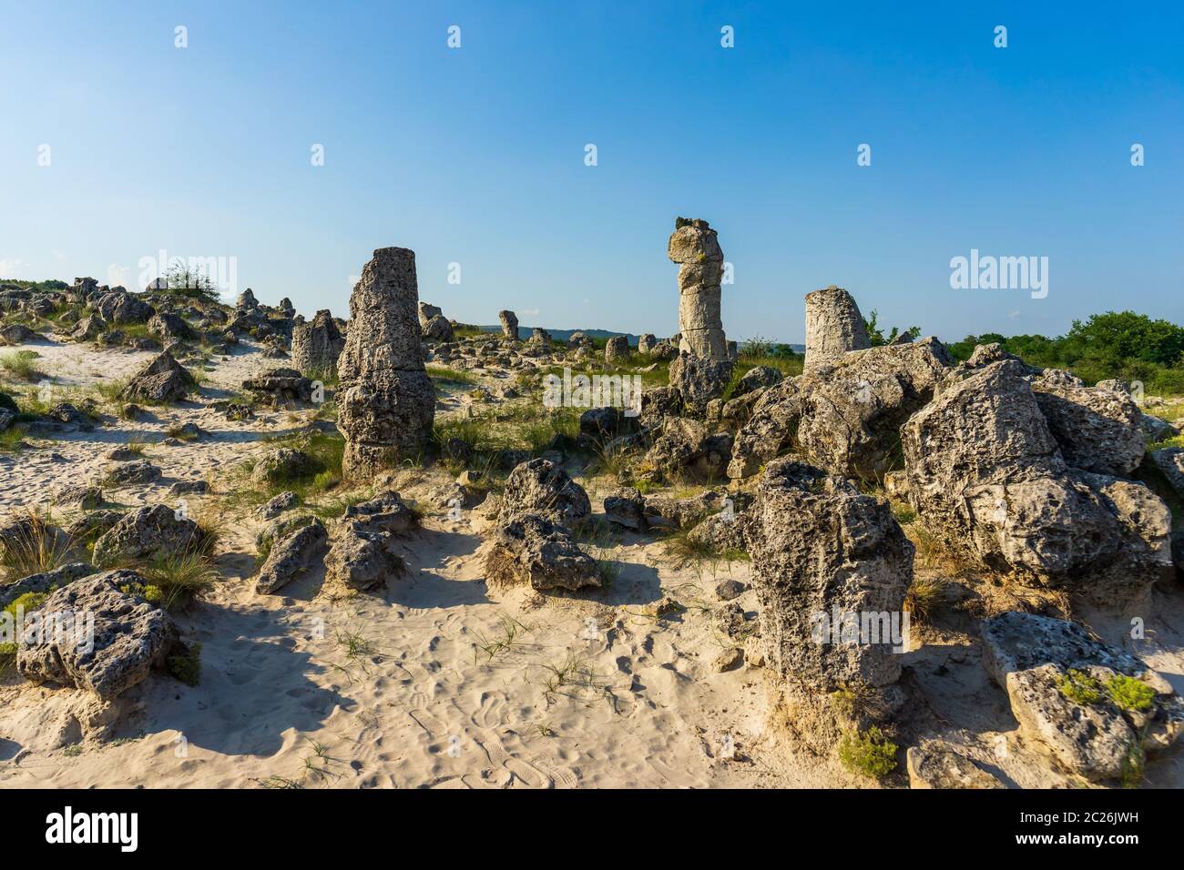 Pobiti Kamani (pierres plantées), également connu sous le nom de désert de pierre, est un phénomène rock désertique située sur la North West Province Varna de la Bulgarie. Banque D'Images