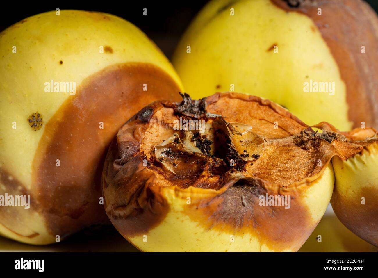 Une pomme pourrie Banque D'Images