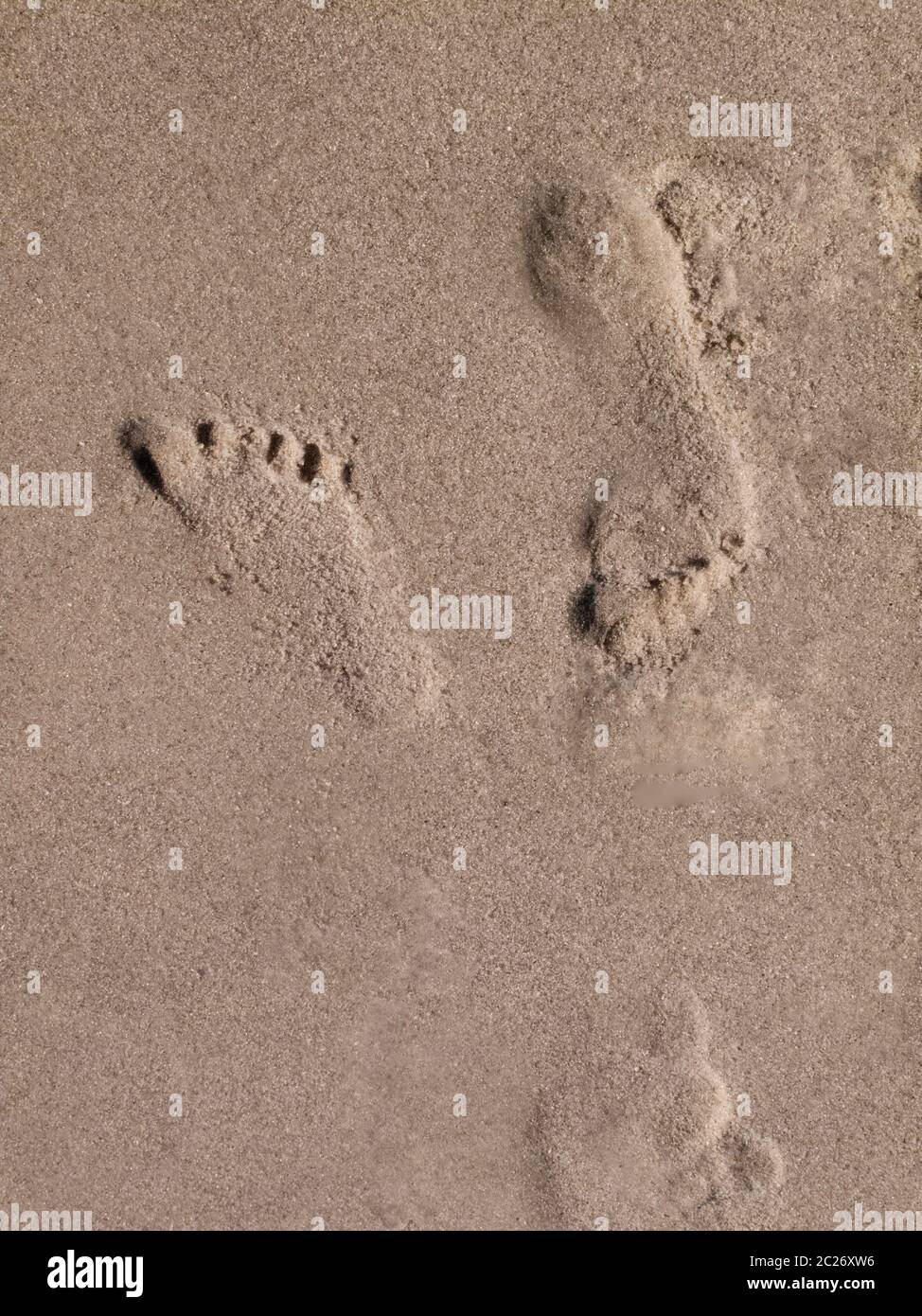 Footprints in sand on beach Banque D'Images