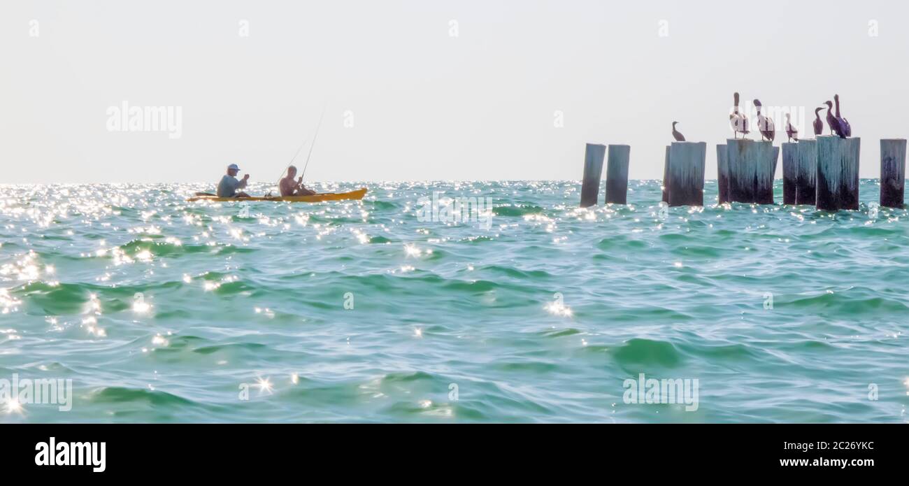 Des hommes en canoë pêchant dans le golfe du Mexique avec des pélicans observant Banque D'Images