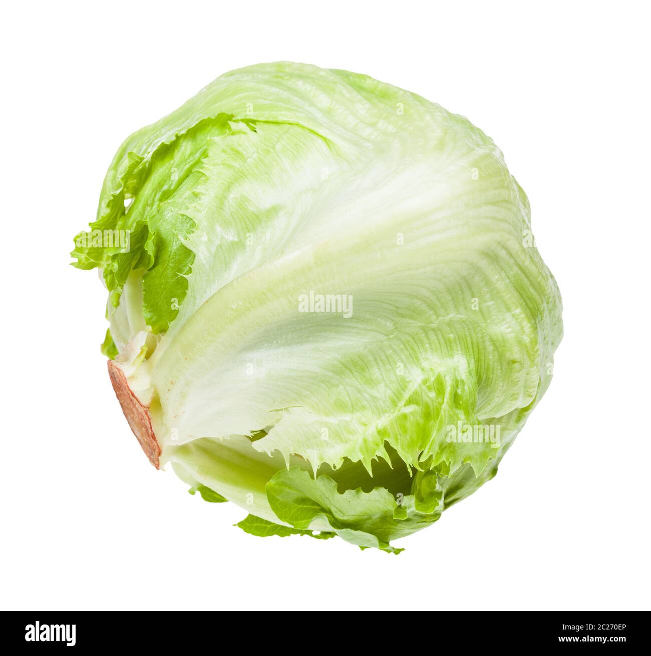 Tête de laitue iceberg isolé sur fond blanc Banque D'Images