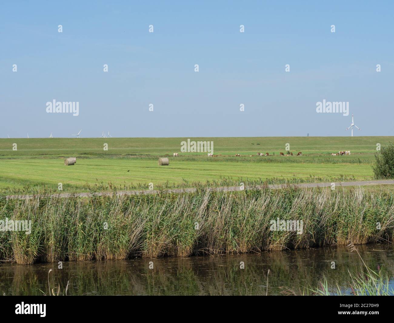 le petit village de ditzum à la rivière ems Banque D'Images