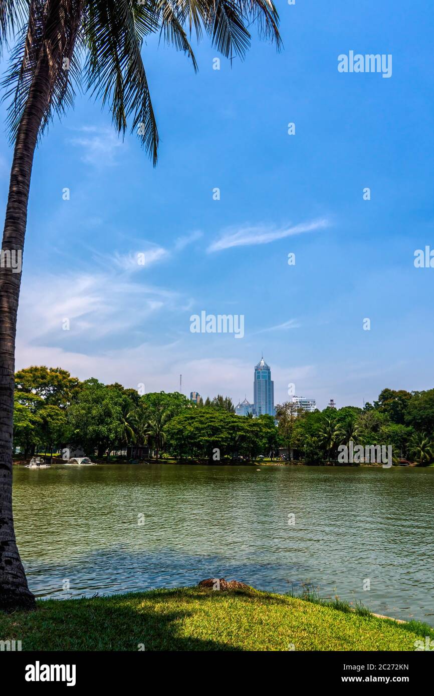 Un étang avec des palmiers tropicaux, vue sur les gratte-ciels de Bangkok depuis le parc de la ville de Lumpini, oasis de verdure dans la ville moderne animée, Thaïlande Banque D'Images