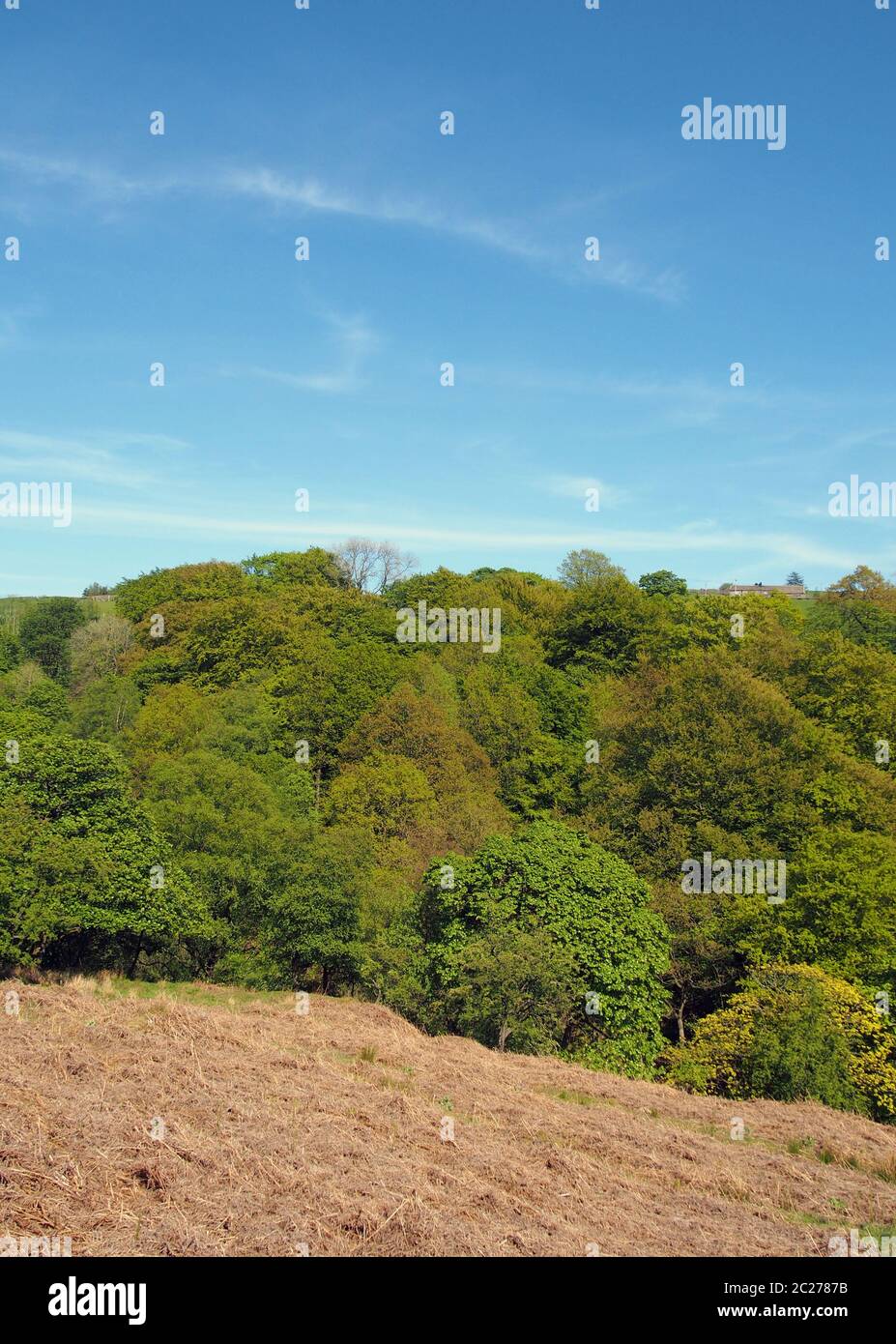 vue sur les cimes de printemps vertes de hardcastle dans le yorkshire de l'ouest depuis le dessus avec ciel bleu ensoleillé Banque D'Images