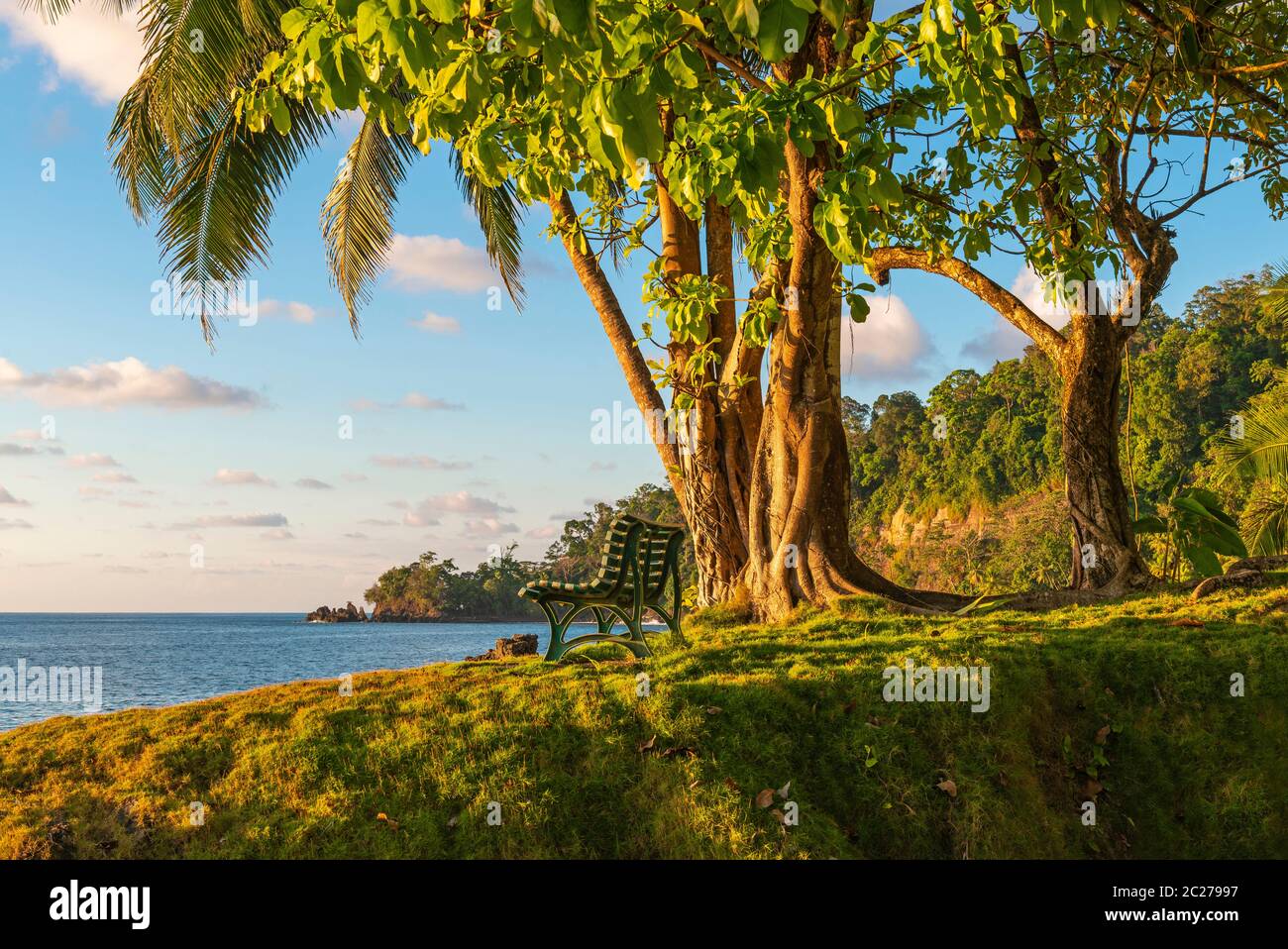 Banc vide sous un arbre tropical au coucher du soleil près de la forêt tropicale humide de l'océan Pacifique, parc national du Corcovado, péninsule d'Osa, Costa Rica. Banque D'Images