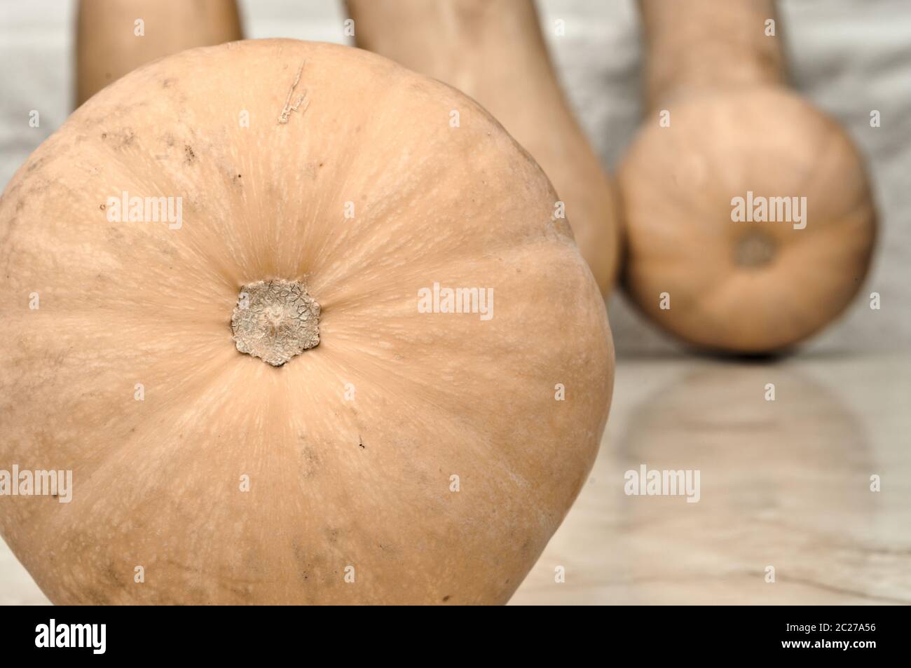 Citrouille allongée variété 'Moscada de Provenza' pour les fonds et textures Banque D'Images