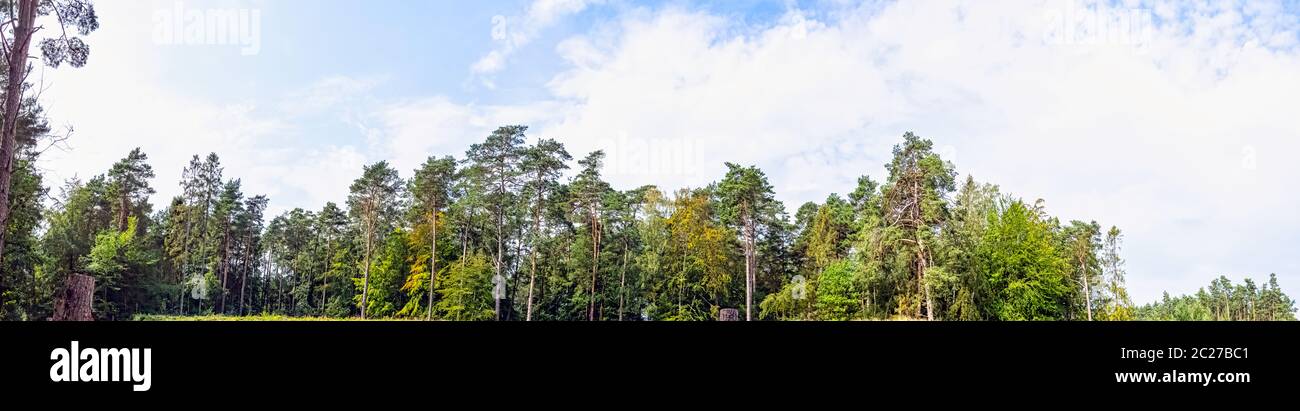 Forêt sauvage polonaise - Parc national de Kampinos, Pologne Banque D'Images