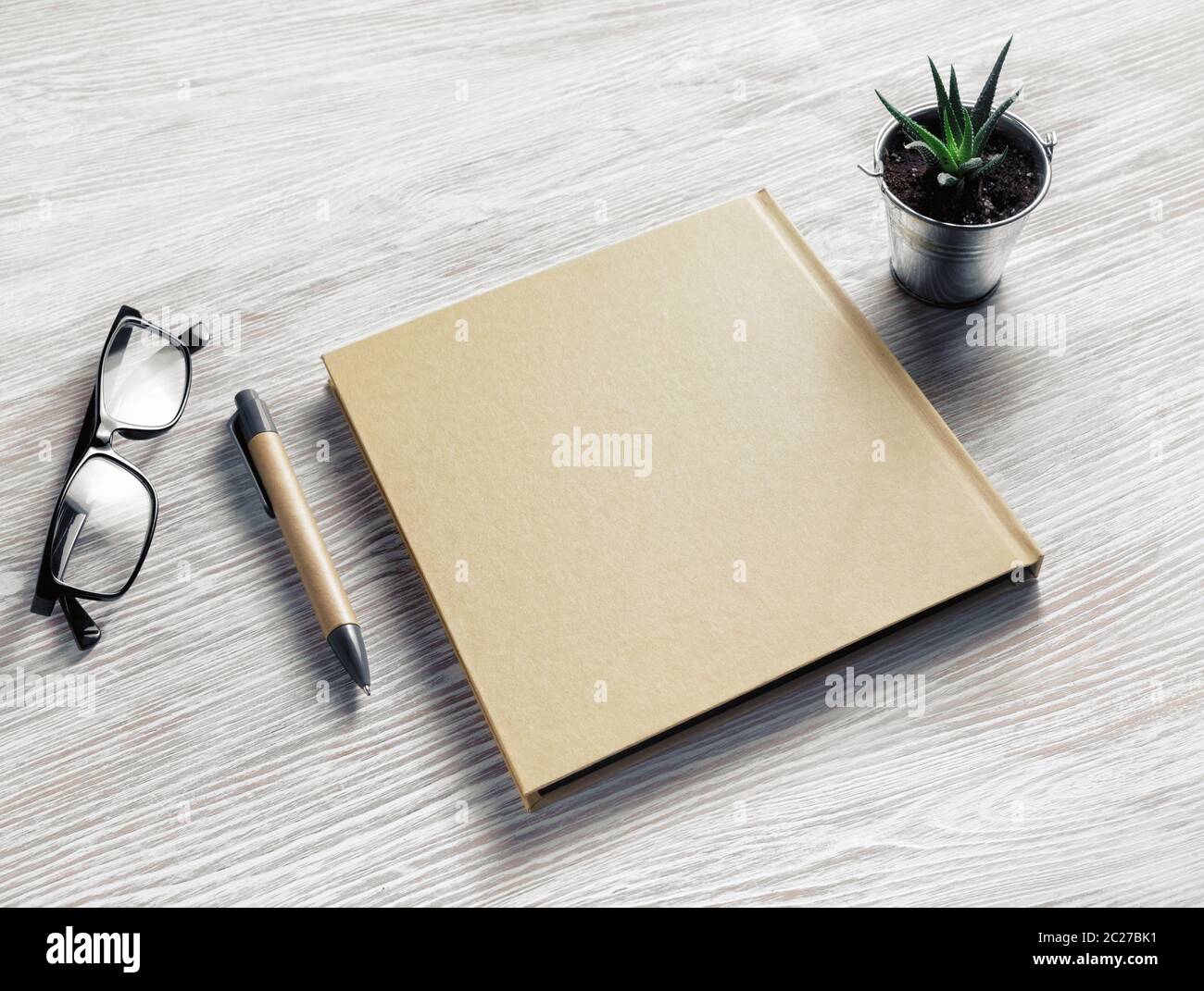 Carnet d'esquisses, verres, stylo, plante Banque D'Images