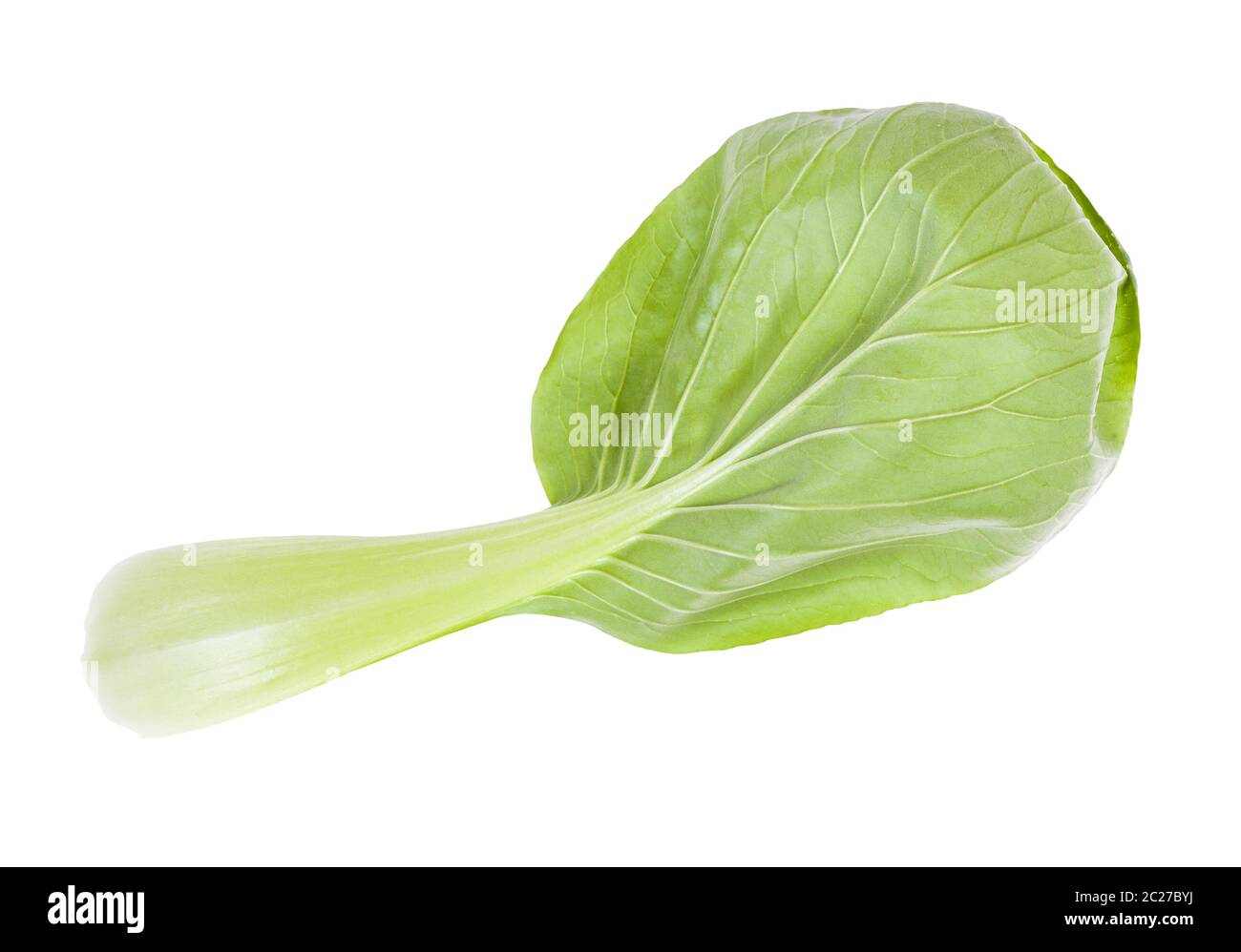 Graines De Chou Chinois Pak Choi Blanc - Brassica Rapa - Lot De 20 Graines Fraîches