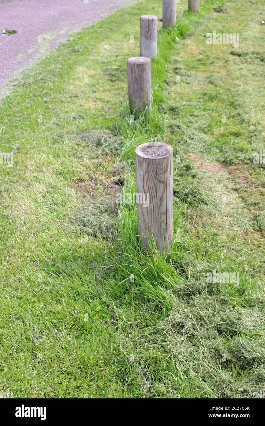 Mauvaise qualité de tonte de pelouse autour de posts à proximité d'une route où le suivi strimming n'a pas eu lieu en laissant l'herbe haute. Banque D'Images