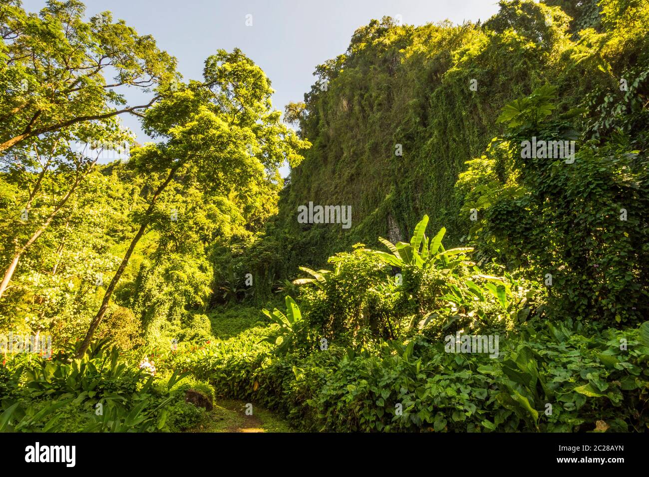 Saint-Vincent-et-les Grenadines dans la mer des Caraïbes Banque D'Images