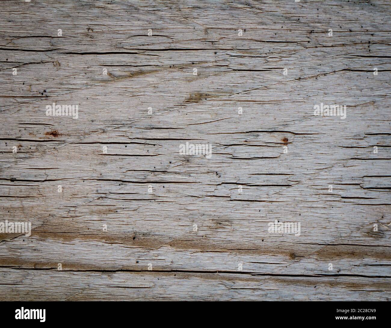 Texture en bois d'une souche d'arbre avec anneaux annuels et grain Banque D'Images