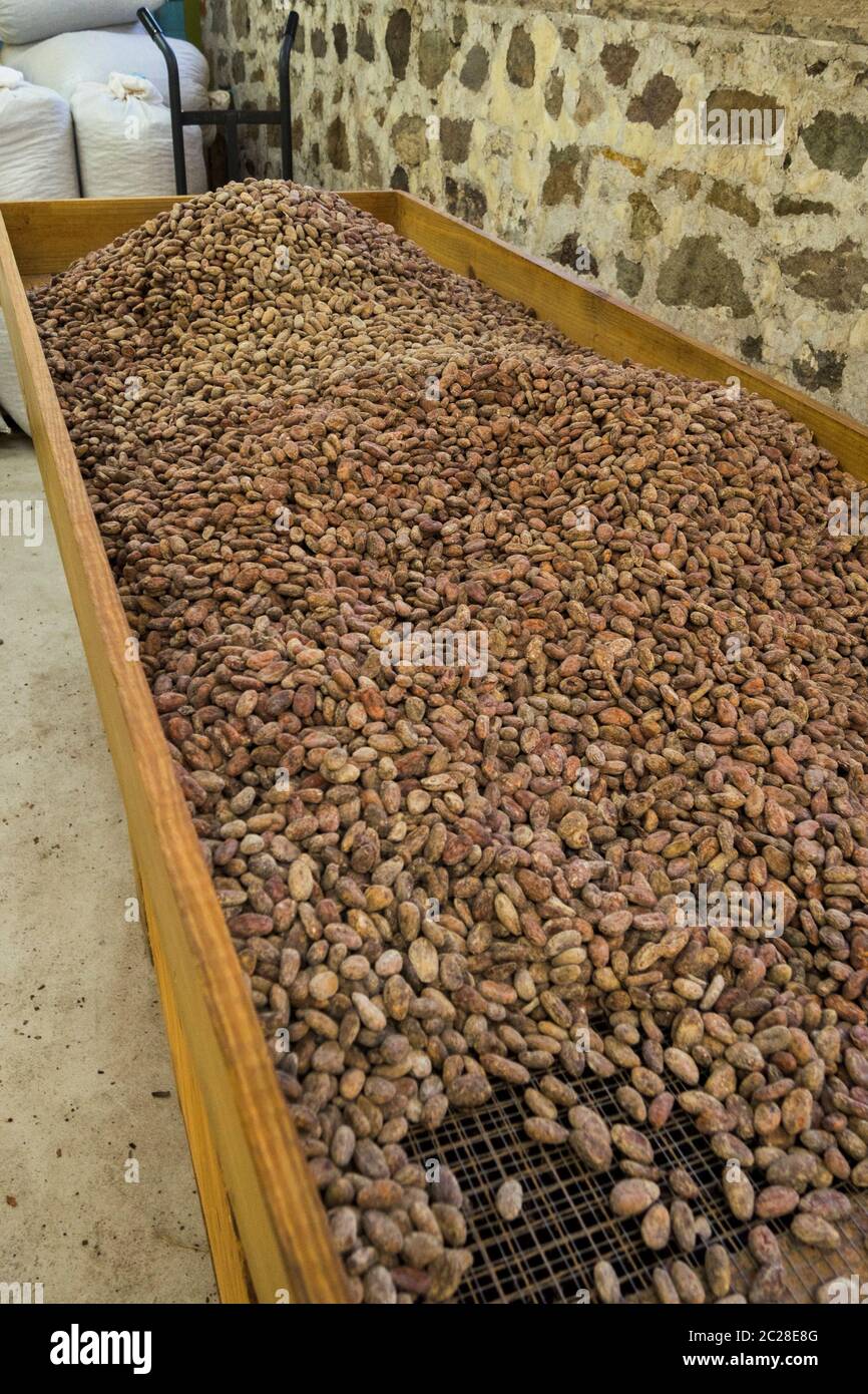 Grenade - production de cacao Banque D'Images