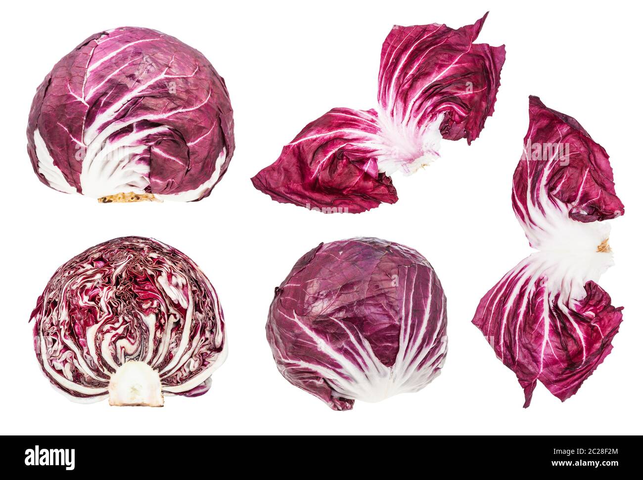 Diverses feuilles et cabbageheads de red radicchio (chicorée feuilles italien) plant isolé sur fond blanc Banque D'Images