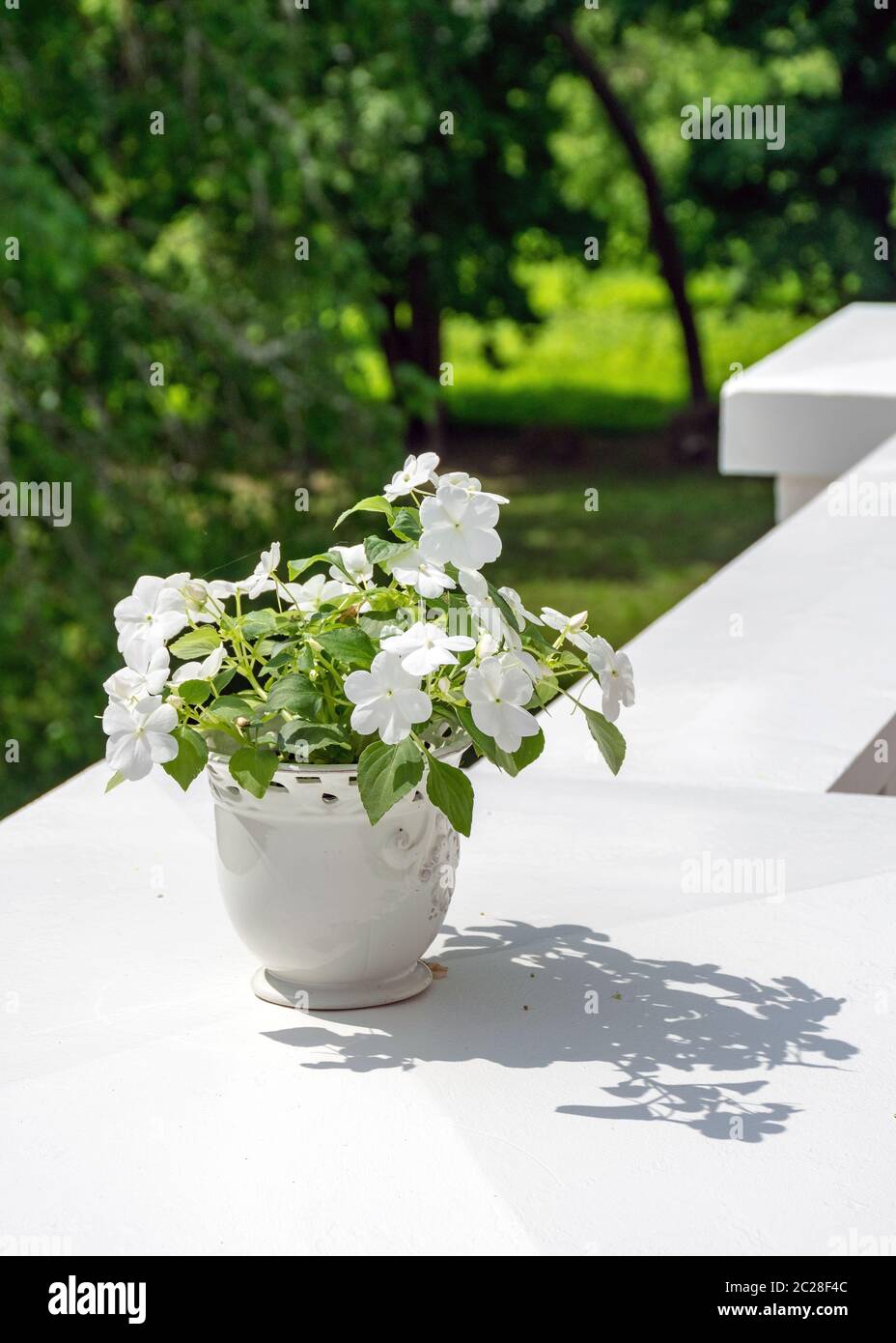 paysage avec un pot de fleurs blanches et des fleurs blanches sur un bord  blanc de balcon Photo Stock - Alamy