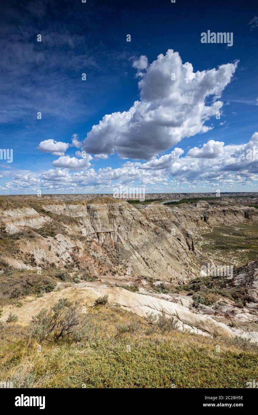 Le Badland et le Red Deer River Canyon de l'Alberta Canada Banque D'Images