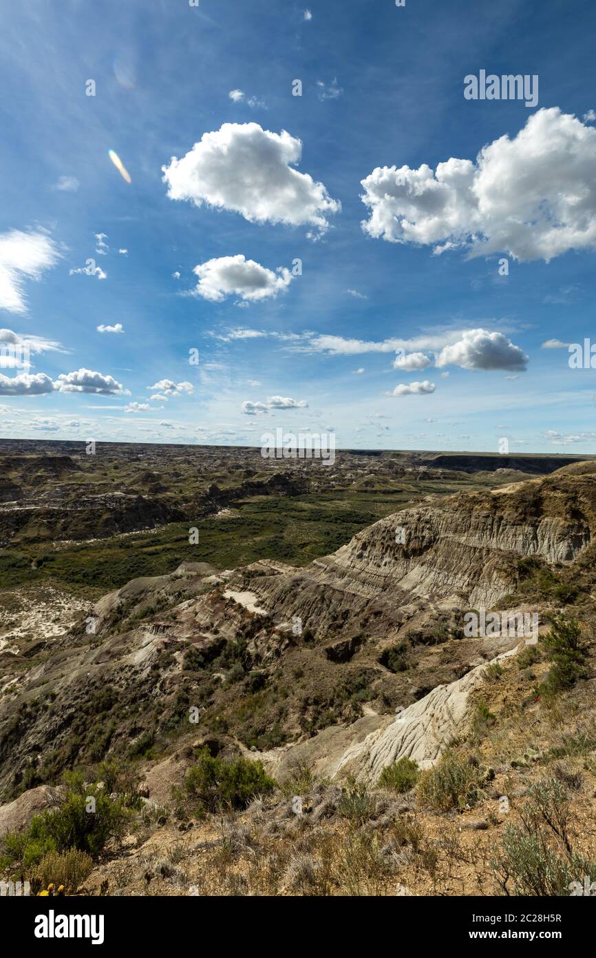 Le Badland et le Red Deer River Canyon de l'Alberta Canada Banque D'Images