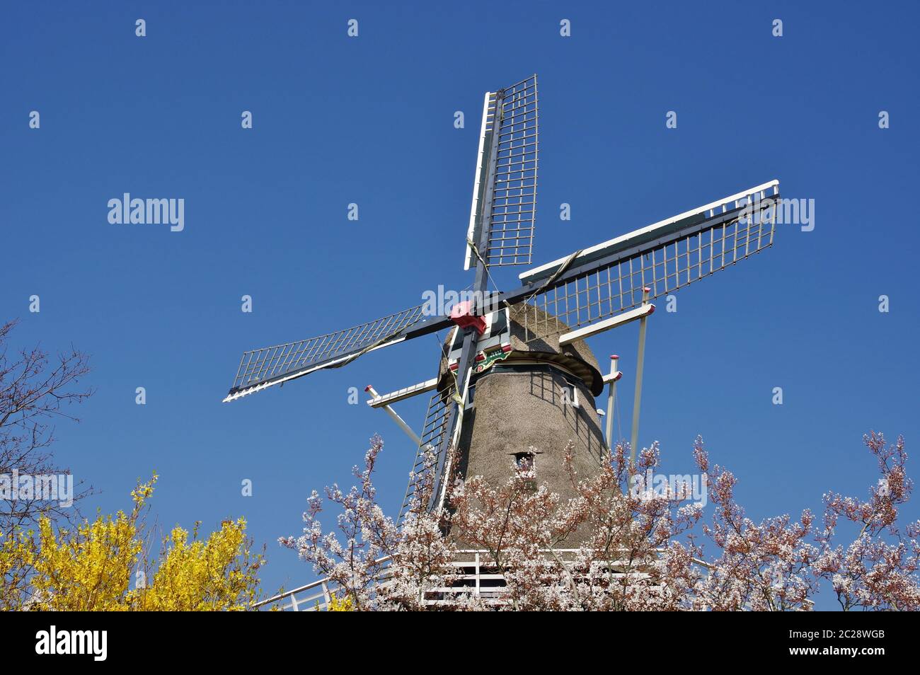 Windmill 'Leonide' (2002), Anna Paulowna, Hollande-Nord, pays-Bas Banque D'Images