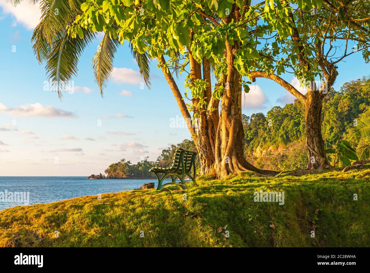 Un banc vide sous un arbre tropical au coucher du soleil devant l'océan Pacifique par la forêt tropicale humide, le parc national du Corcovado, la péninsule d'Osa, Costa Rica. Banque D'Images