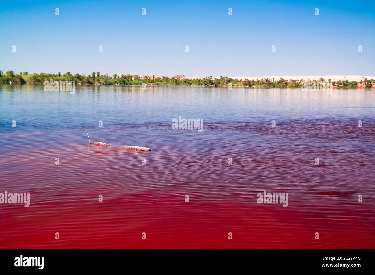 Vue panoramique sur le groupe de lacs Katam aka Baramar des lacs d'Ounianga kebir à Ennedi, Tchad Banque D'Images