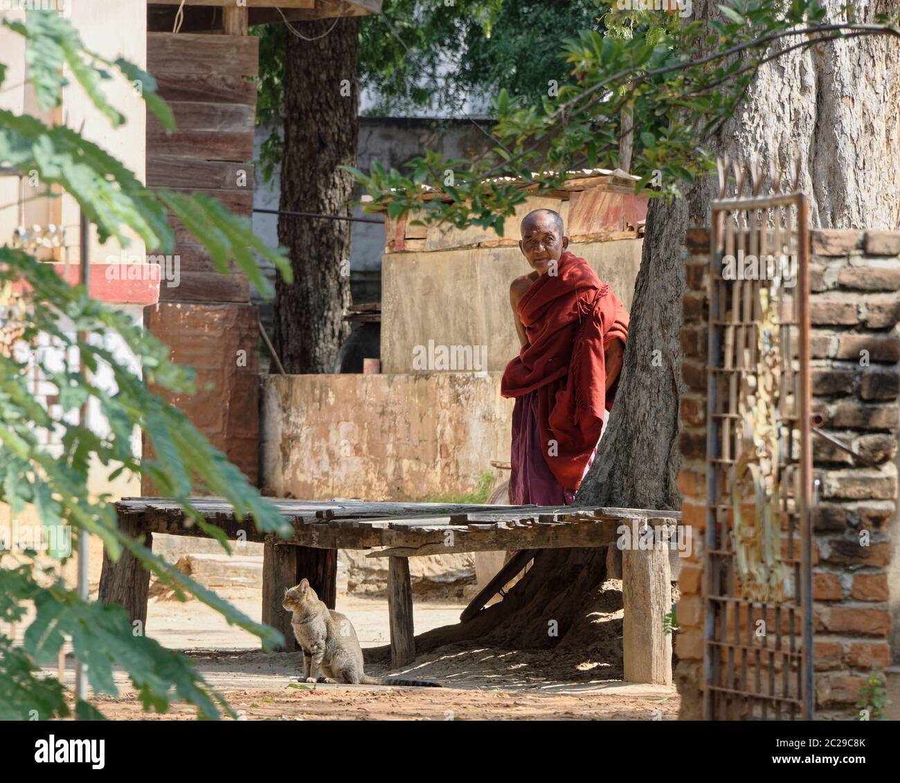 Monk au monastère de Yokesone, Salay, Myanmar Banque D'Images